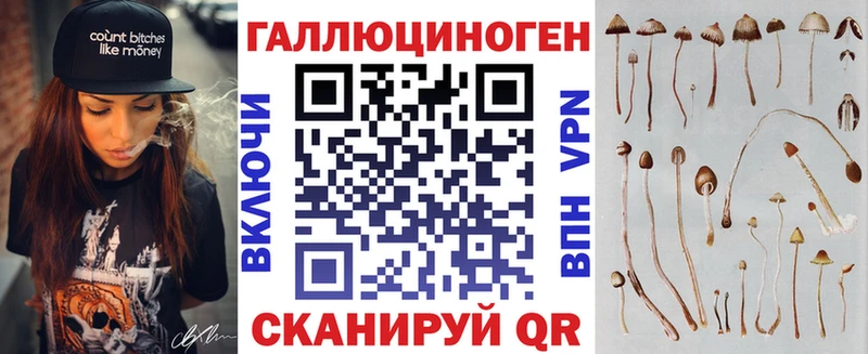 МЕГА ссылки  Краснознаменск  Псилоцибиновые грибы Cubensis 