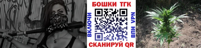 купить   Краснознаменск  Канабис планчик 